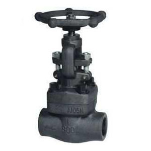 �߉����l�y